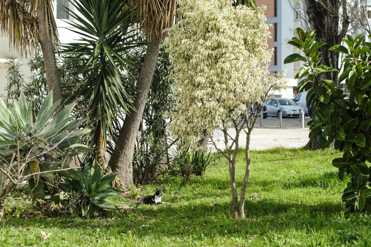 Olive Grove Apartment By Trip2Portugal Lissabon Buitenkant foto